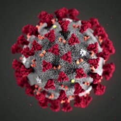 Coronavirus.jpg 