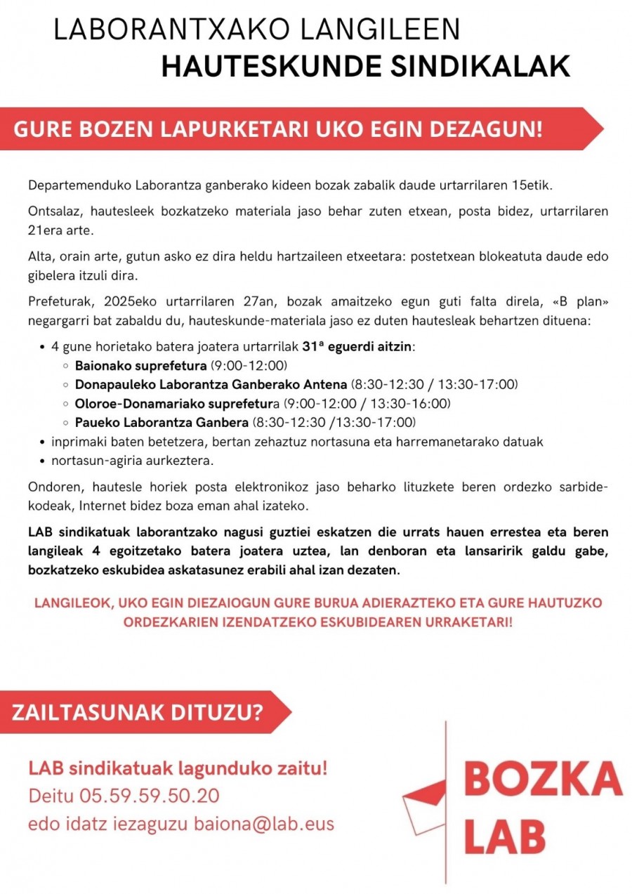 irudia