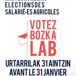 Laborantxa_afitxa_arina.jpg 