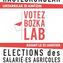 LABORANTXA_A1kartela.jpg 